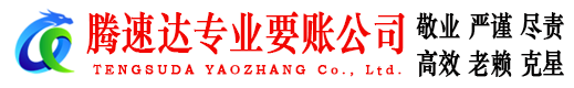 嘉兴腾速达要账公司